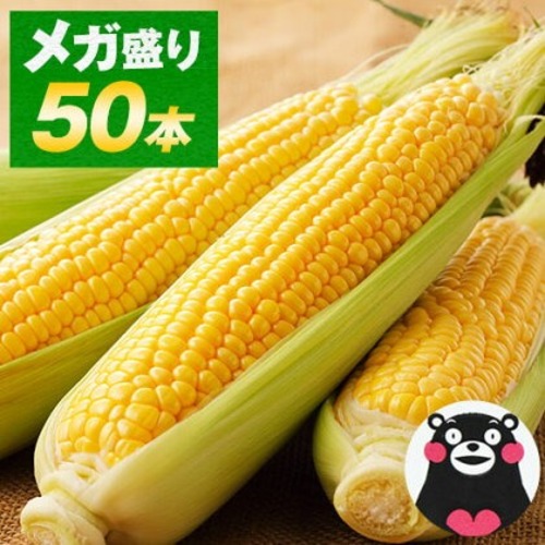 特大 50本