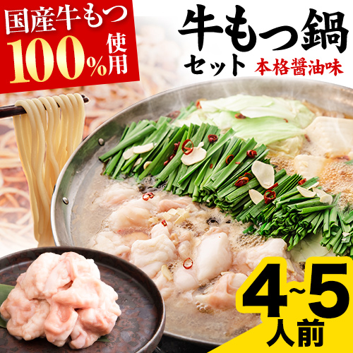 もつ鍋 4～5人前 本格醤油味 国産 牛 もつ 500g ちゃんぽん麺 付き 醤油 ちゃんぽん 冷凍 博多 福岡 1-5営業日以内に発送予定（土日祝除く）