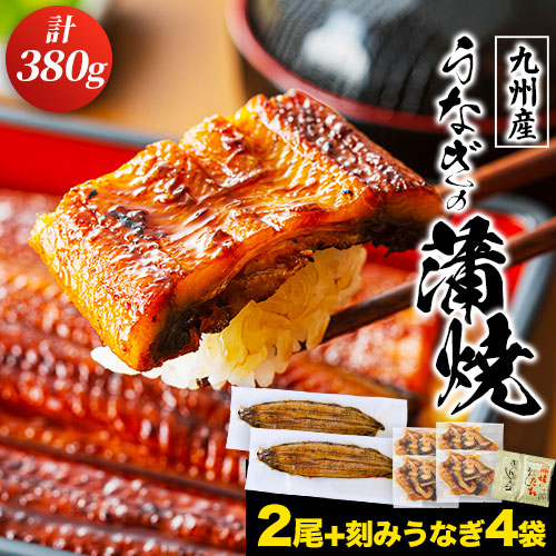 うなぎ蒲焼2尾+きざみ鰻4袋