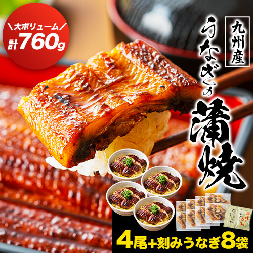 うなぎ蒲焼4尾+きざみ鰻8袋