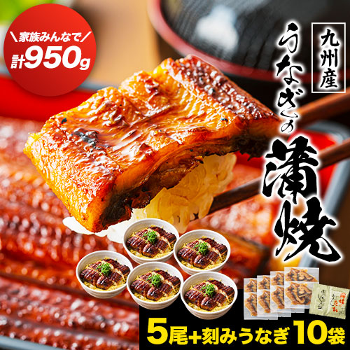 うなぎ蒲焼5尾+きざみ鰻10袋