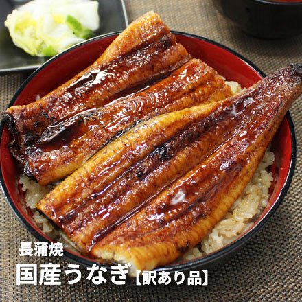 訳あり 国産 うなぎ 長蒲焼き(160g～170g)×5尾セット タレ・山椒つき [ウナギ長蒲焼き-5p]