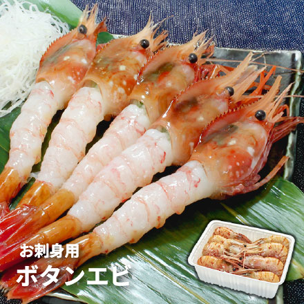 お刺身用 ボタンエビ 1kg 20～32尾 [ぼたんエビ500g-2p]