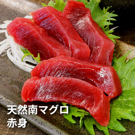 天然 南マグロ 赤身 500g 4～5人前 希少な天然物 不定形サク詰合せ 血合い処理済み 可食部ほぼ100% 解凍レシピ付 [天然南マグロ赤身500g]