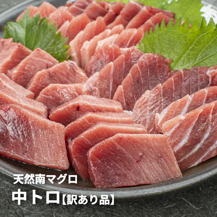 訳あり 天然 南マグロ 中トロ 1kg （血栓が入る 筋がある サクの形が不揃い） [天然南鮪訳あり中トロ500g-2p]超速（ちょうそく）発送 1-3営業日以内に発送予定 土日祝除く