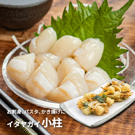お刺身用 小柱 500g イタヤガイ貝柱 中国産 [小柱500g]