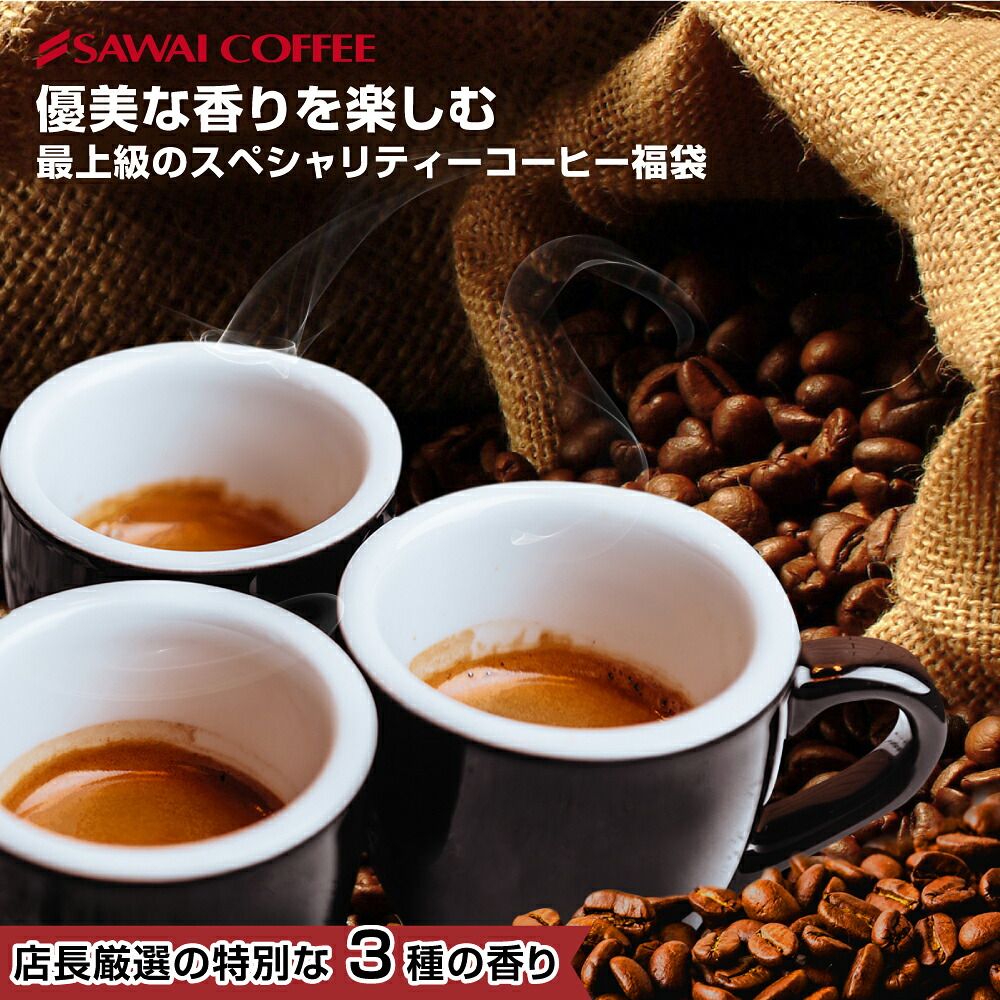 澤井珈琲 スペシャリティーコーヒー福袋 エーデルワイス マンデリン ブラジルサンライズ 200g×3袋 60杯分 中挽き