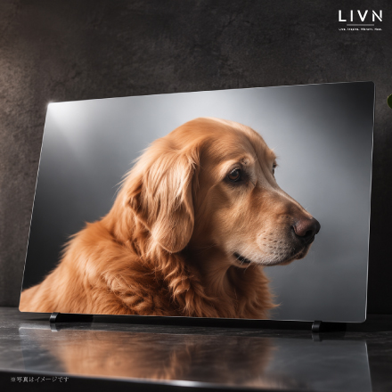 PREMIUN DOG PHOTO（ドッグフォトアート）A2相当　[ LIVN （リブン) ]