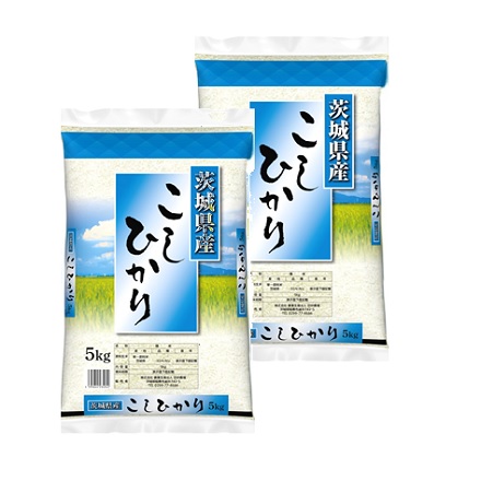 茨城県産 こしひかり 10kg 令和6年産