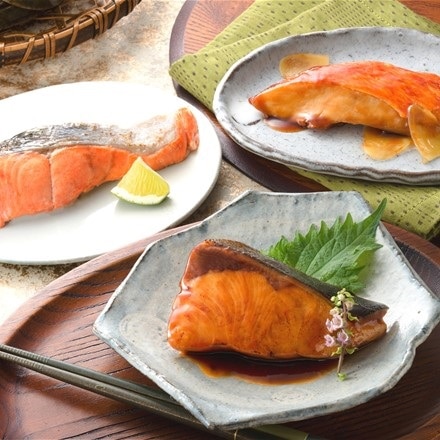 鳥取 山陰大松 氷温熟成 煮魚・焼き魚セット 5種10個入り