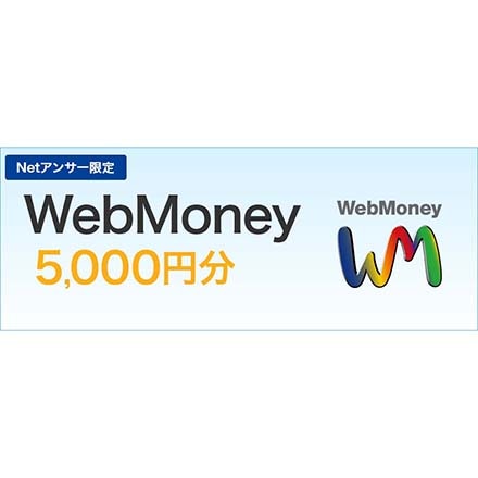 永久不滅ポイント交換の Storee Saison ストーリー セゾン Webmoney 5 000円分 ポイント交換