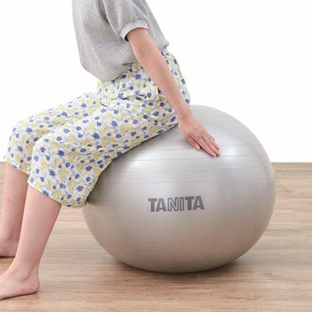 〈タニタ〉 ジムボール