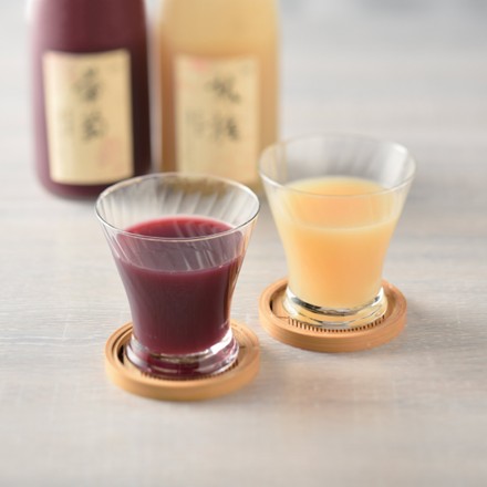 〈東京・京橋千疋屋〉 果実選果100％ジュース2本