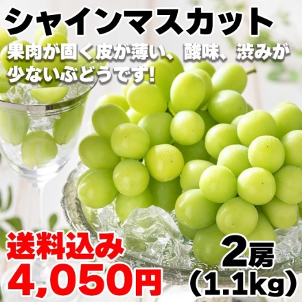 【こちらの商品は9月1日～10月10日の間にお届けします】 シャインマスカット 2房 (1.1kg)