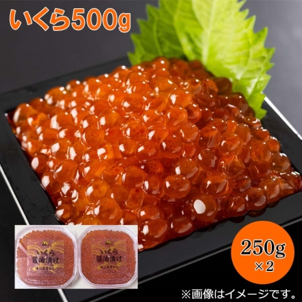 いくら500ｇ