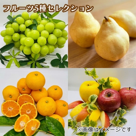 ｍｙｇｉｆｔ フルーツ5種セレクション シャインマスカット1房／蜜入りサンふじ1個／蜜入り純情はるか1個／ルレクチエ1～2個／味っ子密柑5～10個