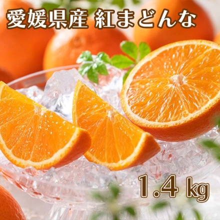 紅まどんな 1.4kg