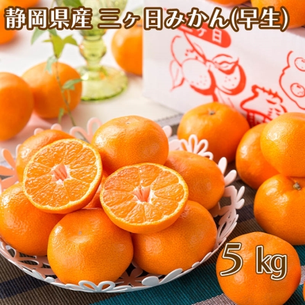 三ケ日みかん（早生） 5kg