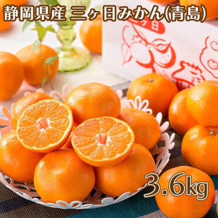 三ケ日みかん（青島） 3.6kg
