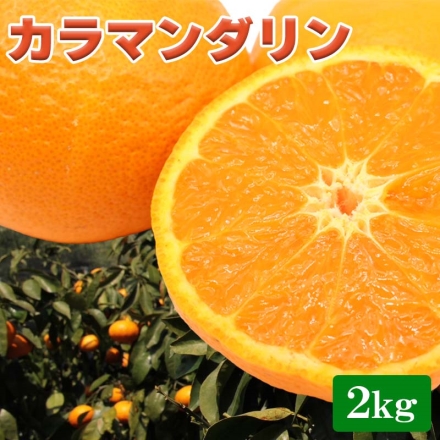 カラマンダリン2ｋｇ