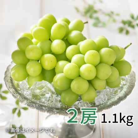 シャインマスカット 2房（1.1ｋｇ）