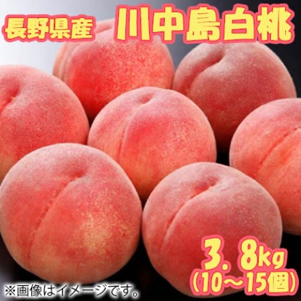 長野県産川中島白桃糖度12度以上 3.8ｋｇ（10個～15個）
