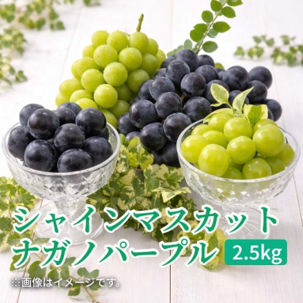 シャインマスカットとナガノパープル2.5ｋｇ