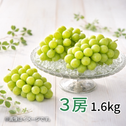 シャインマスカット3房（1.6ｋｇ）