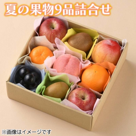 夏の果物9品詰合せ 送料込み