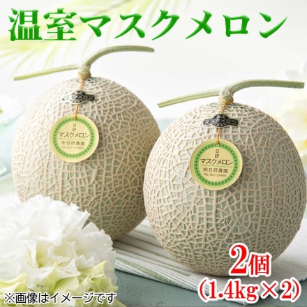 温室マスクメロン2個 送料込み