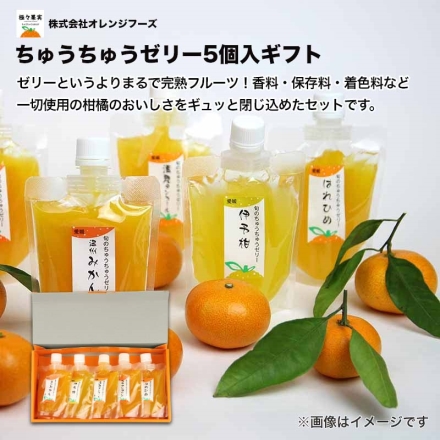 ちゅうちゅうゼリー5個入ギフト