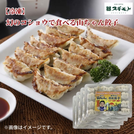 冷凍 幻のコショウで食べる山ちゃん餃子 12個×4