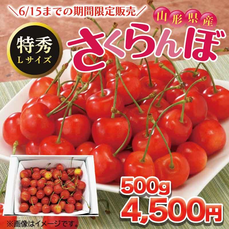 山形のさくらんぼ　５００ｇ