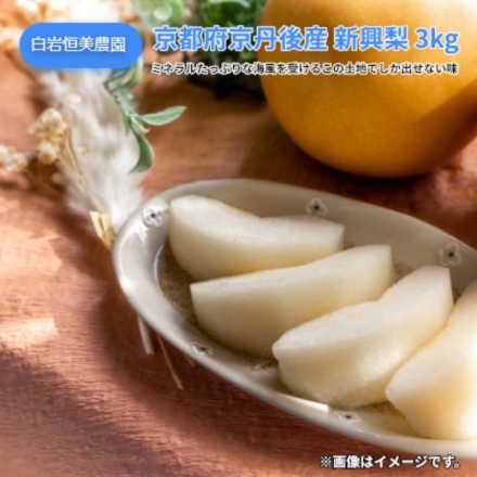 京都府京丹後産 新興梨 3ｋｇ 送料込み