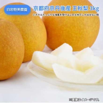 京都府京丹後産 王秋梨 3ｋｇ 送料込み