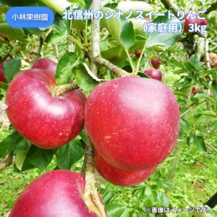 北信州のシナノスイートりんご（家庭用）3ｋｇ 送料込み