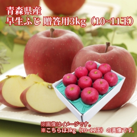 青森県産 早生ふじ 贈答用3ｋｇ（10～11玉） 送料込み