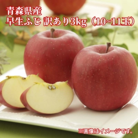 青森県産 早生ふじ 訳あり3ｋｇ（10～11玉） 送料込み