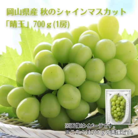 岡山県産 秋のシャインマスカット「 晴王 」700ｇ（1房） 送料込み