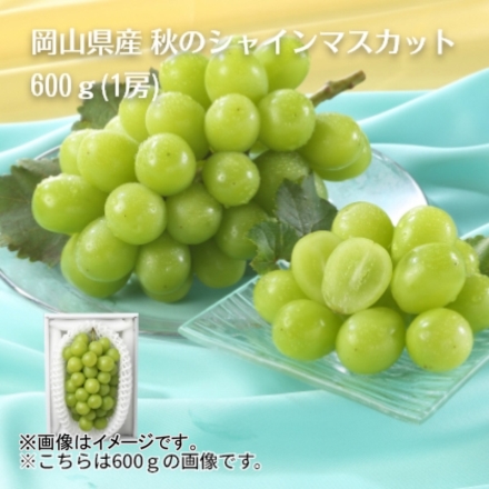岡山県産 秋のシャインマスカット600ｇ（1房） 送料込み