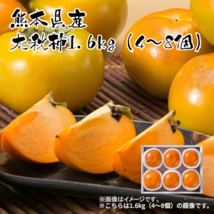 熊本県産 大秋柿1.6ｋｇ（4～8個） 送料込み