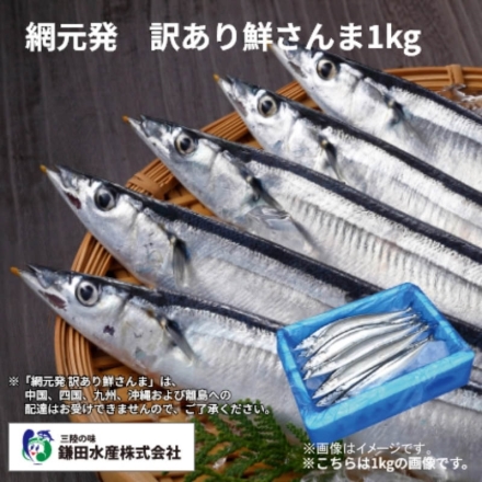 網元発 訳あり鮮さんま1ｋｇ 送料込み