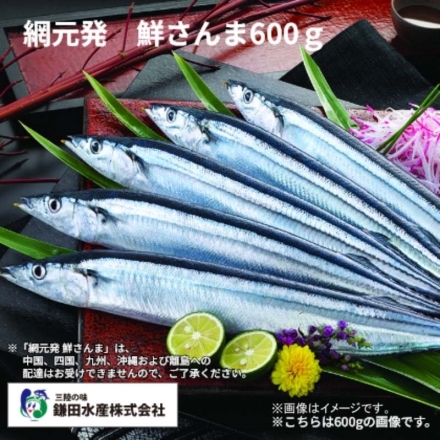 網元発 鮮さんま600ｇ 送料込み