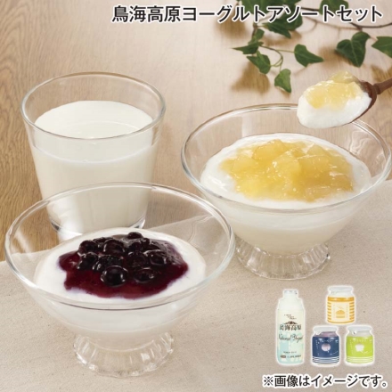 鳥海高原ヨーグルトアソートセット のむヨーグルト900ml、クリーミースイート・ヨーグルト（ブルーベリー・ラ フランス） 各400g