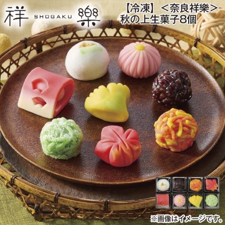 冷凍 ＜奈良祥樂＞秋の上生菓子8個