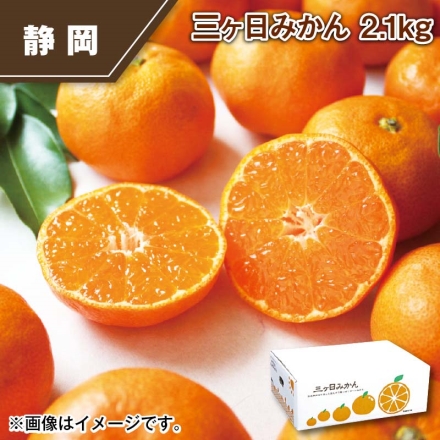 三ヶ日みかん 2.1ｋｇ
