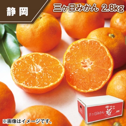 三ヶ日みかん 2.8ｋｇ