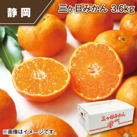 三ヶ日みかん 3.6ｋｇ