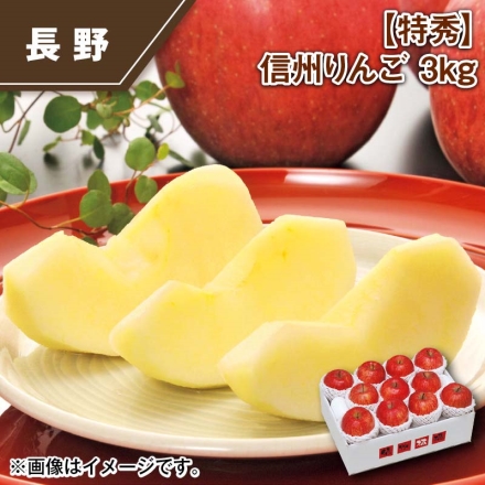 特秀 信州りんご 3ｋｇ