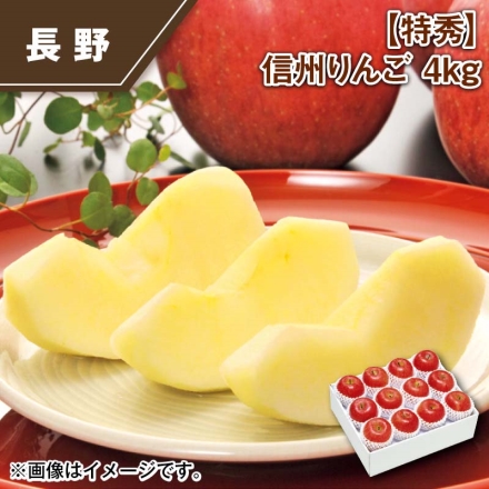 特秀 信州りんご 4ｋｇ